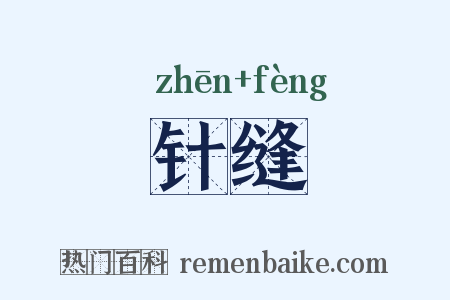 针缝是什么意思的图片